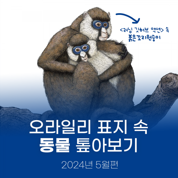 오라일리 표지 속 동물 톺아보기 - 2024년 5월편